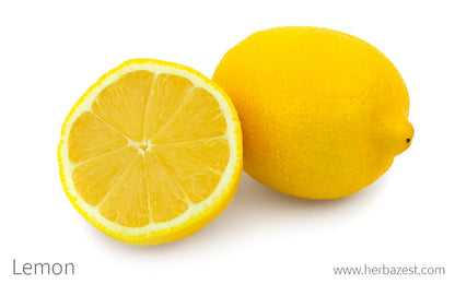 Mini Product Samples